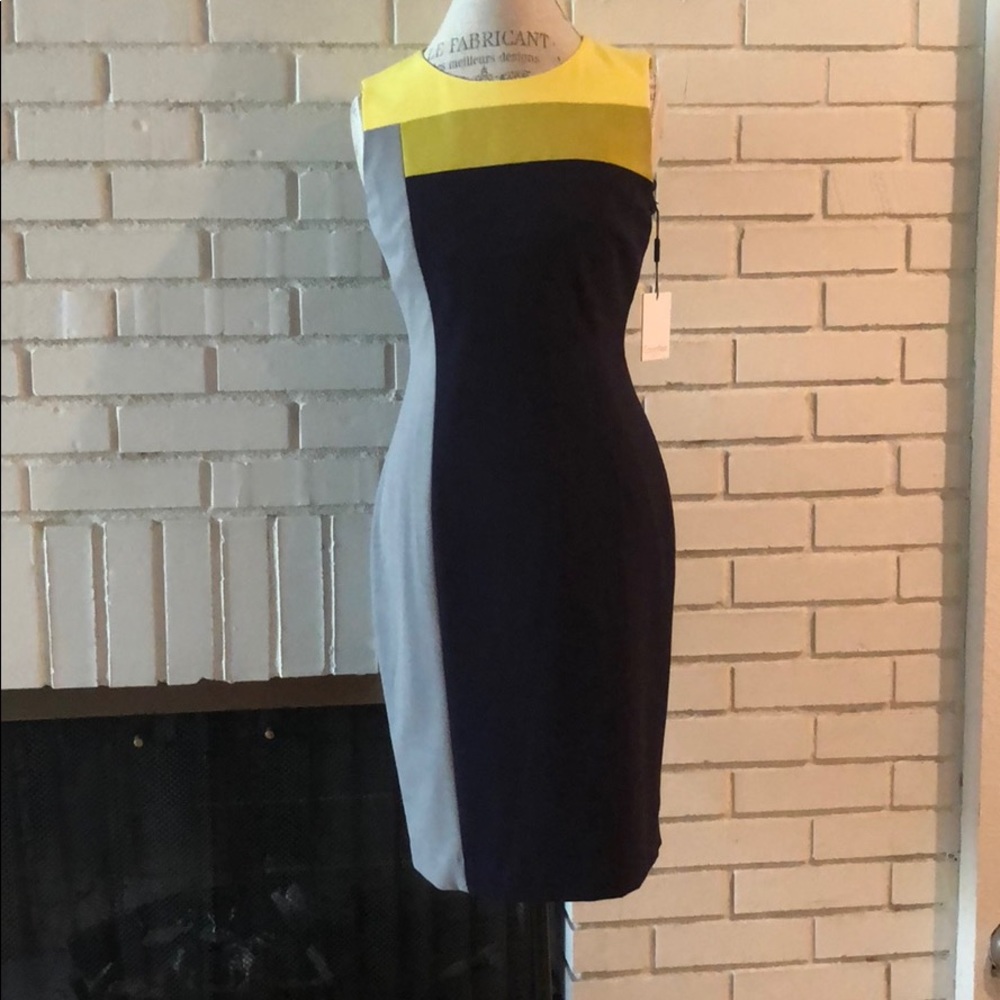 Calvin Klein Dress